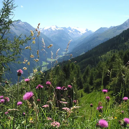 Apartament Claudia *