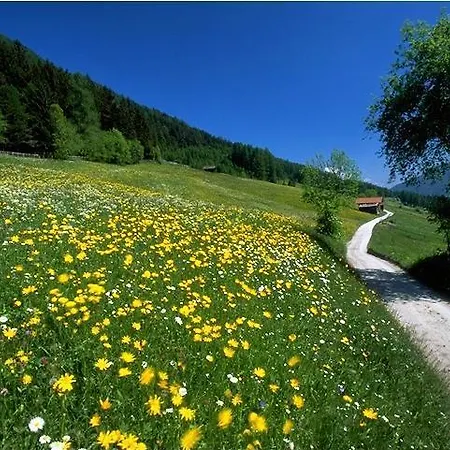 Appartement Claudia Neustift im Stubaital